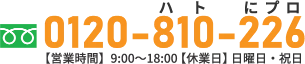 0120-810-226