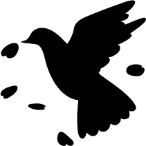 自己流の対策で再発のリスク