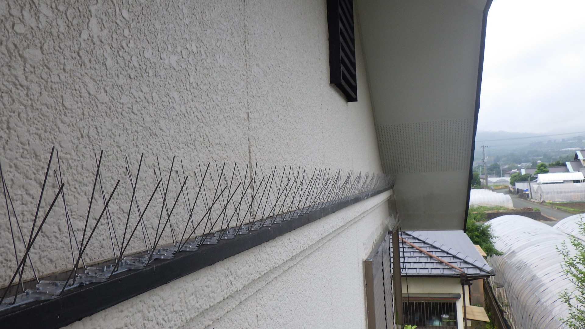 戸建て 壁面突起部・出窓上部・呼樋 鳩対策剣山設置 - 施工実績|ハト対策防衛隊