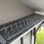 戸建庇／ハト停留防止剣山設置