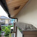 出窓ハト停留防止、糞除去、洗浄