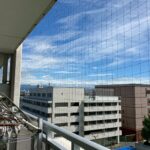 団地、アパート　防鳥ネット設置