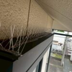 戸建てシャッターBOX上 ハト停留防止剣山設置