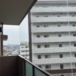 マンションベランダへの防鳥ネット設置で早めのハト対策